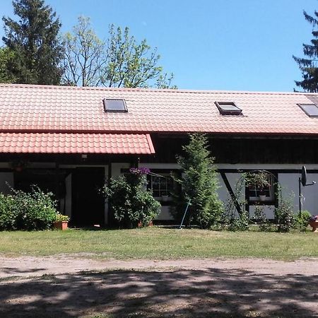 Agroturystyka Pod Debami W Klukach Smołdzino 외부 사진