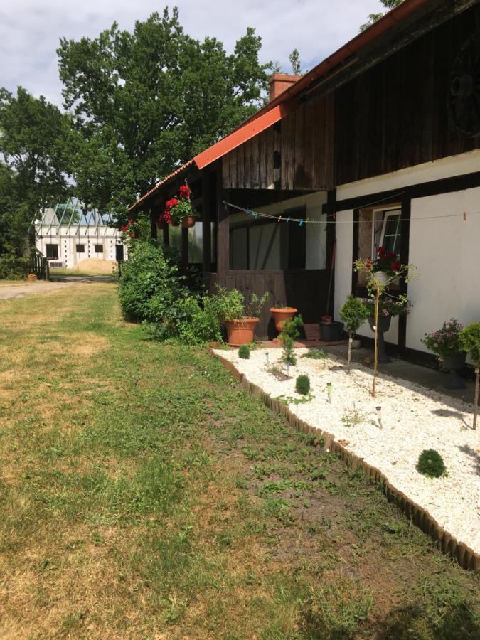 Agroturystyka Pod Debami W Klukach Smołdzino 외부 사진